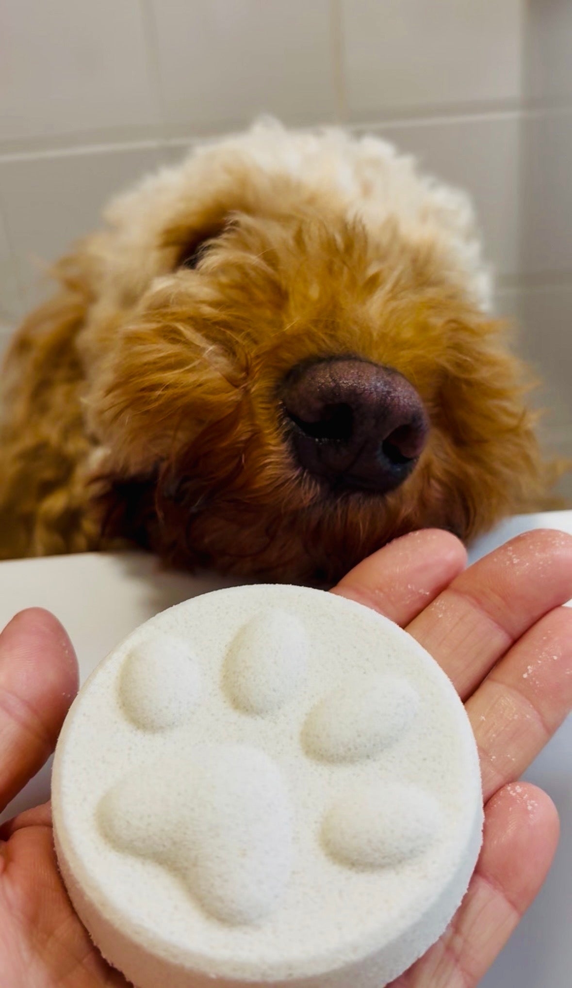 Doggy Bath Bombs - Pre Order - Launching 1st June